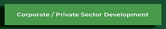 Private Sector